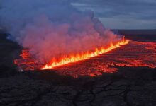 Photo of Hielo y fuego