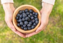Photo of El pequeño fruto que lidera el ranking de salud por su alto valor nutricional, según expertos