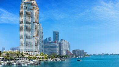 Photo of Demolieron una torre en Miami para construir un condominio de lujo y hallaron un cementerio de 3500 años