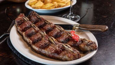 Photo of Sorpresiva decisión: Chile frenó temporalmente la importación de reproductores bovinos de la Patagonia y un negocio de carne