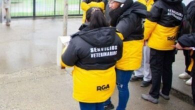 Photo of El Municipio intervino en una vivienda donde había perros hacinados