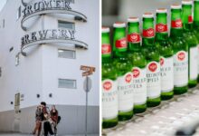 Photo of Son inmigrantes, emprendieron con su cerveza en California y les salió tan bien que están entre los mejores del mundo