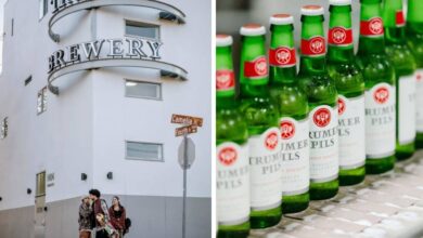Photo of Son inmigrantes, emprendieron con su cerveza en California y les salió tan bien que están entre los mejores del mundo