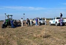 Photo of Tragedia en Chaco: la esposa de un referente de la Federación Agraria murió tras ser aplastada por un tractor