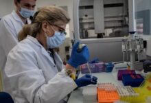 Photo of Como en la ciencia ficción: la predicción genética que ofrece Silicon Valley para saber si un embrión será una persona sana