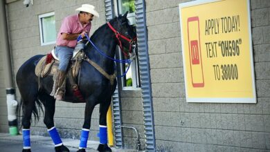 Photo of Los trámites online y la conquista de la felicidad