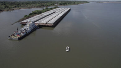Photo of Pasen, lean y asómbrense de las maravillas del Padre Río 
