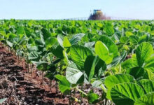 Photo of Aportes para un programa agrario