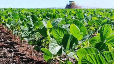 Photo of Aportes para un programa agrario