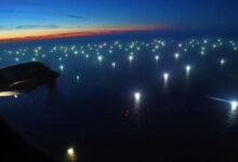 Photo of De calamares y otros bichos usurpados en el Mar Argentino
