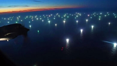 Photo of De calamares y otros bichos usurpados en el Mar Argentino