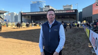 Photo of Referente mundial: es la máxima figura de la principal raza de carne y quedó sorprendido por lo que vio en la Rural
