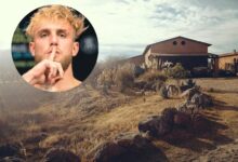 Photo of Jake Paul usa sus ganancias de la pelea con Mike Tyson y hace un histórico negocio en Georgia