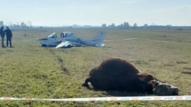 Photo of Sorpresa y milagro: una avioneta tuvo un extraño choque contra un toro