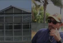 Photo of “Hasta el otro día”: el duro relato de un trabajador que se escondió del ICE durante redada en California