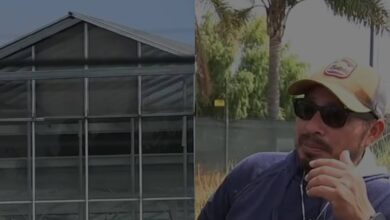 Photo of “Hasta el otro día”: el duro relato de un trabajador que se escondió del ICE durante redada en California