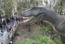 Photo of Vacaciones de invierno en Tecnópolis: guía de actividades y cómo reservar las entradas gratuitas