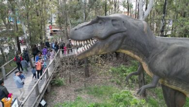 Photo of Vacaciones de invierno en Tecnópolis: guía de actividades y cómo reservar las entradas gratuitas