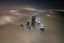 Photo of En la niebla