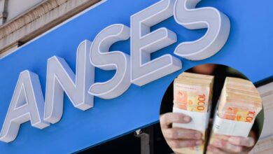 Photo of Calendario de la Anses: todas las prestaciones sociales que se pagan este viernes 11 de julio