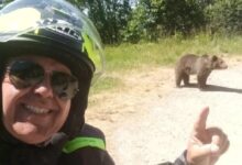 Photo of Un turista compartió una selfie con la cría de una osa segundos antes de ser atacado mortalmente