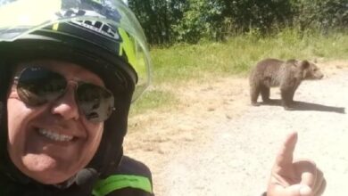 Photo of Un turista compartió una selfie con la cría de una osa segundos antes de ser atacado mortalmente