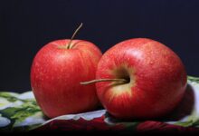 Photo of Los grandes beneficios para la salud cardiovascular de comer manzanas todos los días