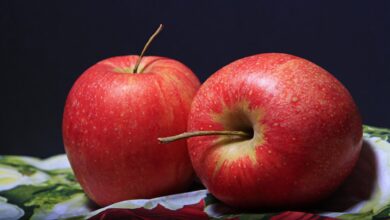 Photo of Los grandes beneficios para la salud cardiovascular de comer manzanas todos los días