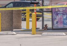 Photo of El increíble operativo policial montado por un oso de peluche en Carolina del Sur que sorprendió a todos