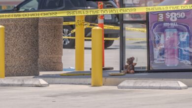 Photo of El increíble operativo policial montado por un oso de peluche en Carolina del Sur que sorprendió a todos