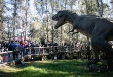 Photo of Actividades gratis para hacer en Buenos Aires en las vacaciones de invierno 2025
