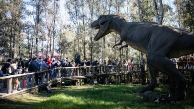 Photo of Actividades gratis para hacer en Buenos Aires en las vacaciones de invierno 2025