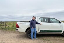 Photo of Gerencia 3500 hectáreas: se hizo cargo de un campo y lo transformó en una potencia productiva