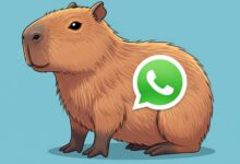 Photo of Así se puede activar el “modo Capibara” en WhatsApp en julio 2025