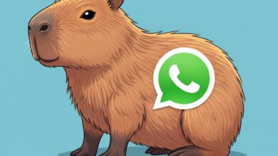 Photo of Así se puede activar el “modo Capibara” en WhatsApp en julio 2025