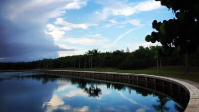 Photo of El pueblo de Florida, a una hora de Alligator Alcatraz, que prepara un megaproyecto inmobiliario