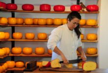 Photo of Una nueva Ruta del Queso invita a recorrer tambos y degustar los mejores sabores