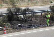 Photo of Muerte de Diogo Jota: la cirugía que le impidió viajar en avión y la historia detrás de la tragedia