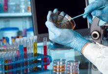 Photo of Wall Street: qué hay detrás de la biotecnológica cuyas acciones se dispararon 160% desde junio