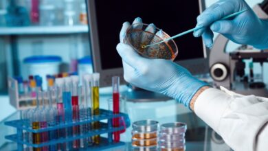 Photo of Wall Street: qué hay detrás de la biotecnológica cuyas acciones se dispararon 160% desde junio