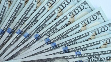 Photo of Marina Dal Poggeto analizó la suba del dólar y vaticinó que puede pasar con la divisa después de las elecciones