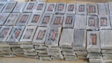 Photo of Allanan el puerto de Zárate tras descubrir que un buque partió con 221 kilos de cocaína rumbo a Bélgica