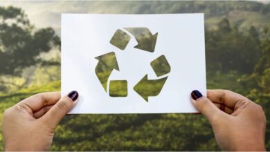 Photo of Cómo reciclar los objetos de tu casa que desechás para darle un nuevo uso y salvar al planeta