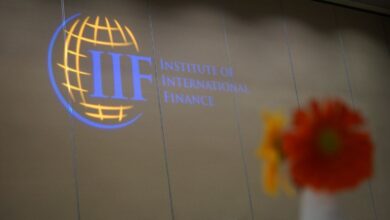 Photo of El «think tank» de la banca internacional destacó los logros fiscales, monetarios e inflacionarios de la Argentina, pero exigieron reformas