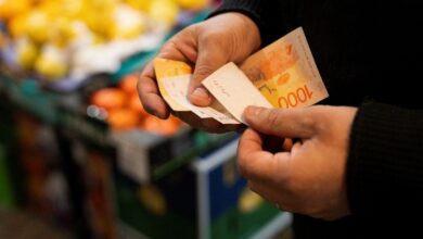 Photo of Inflación en Argentina: cuáles fueron los productos básicos que más subieron y bajaron en junio 2025