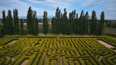 Photo of Ideal para las vacaciones de invierno: el sorprendente sitio de Mendoza para un turismo diferente