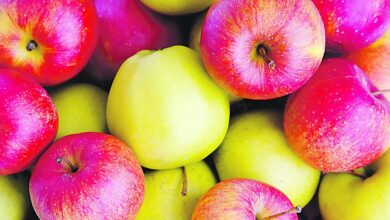 Photo of Comer manzanas podría ayudar a controlar la presión arterial, según los expertos