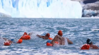 Photo of Santa Cruz será sede de la Winter Swimming World Cup 2025