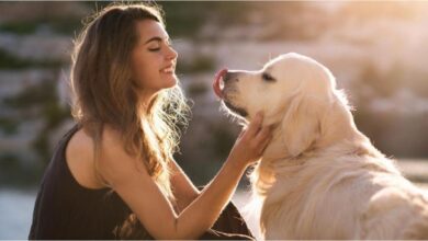 Photo of ¿Tu perro te sigue a todas partes? Según la psicología, hay una respuesta lógica para eso