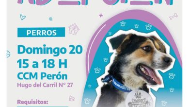 Photo of RGA Mascotera: Sumá un nuevo amigo de cuatro patas a tu familia